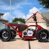 Electric Mini Quad