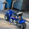 Mini Bike
